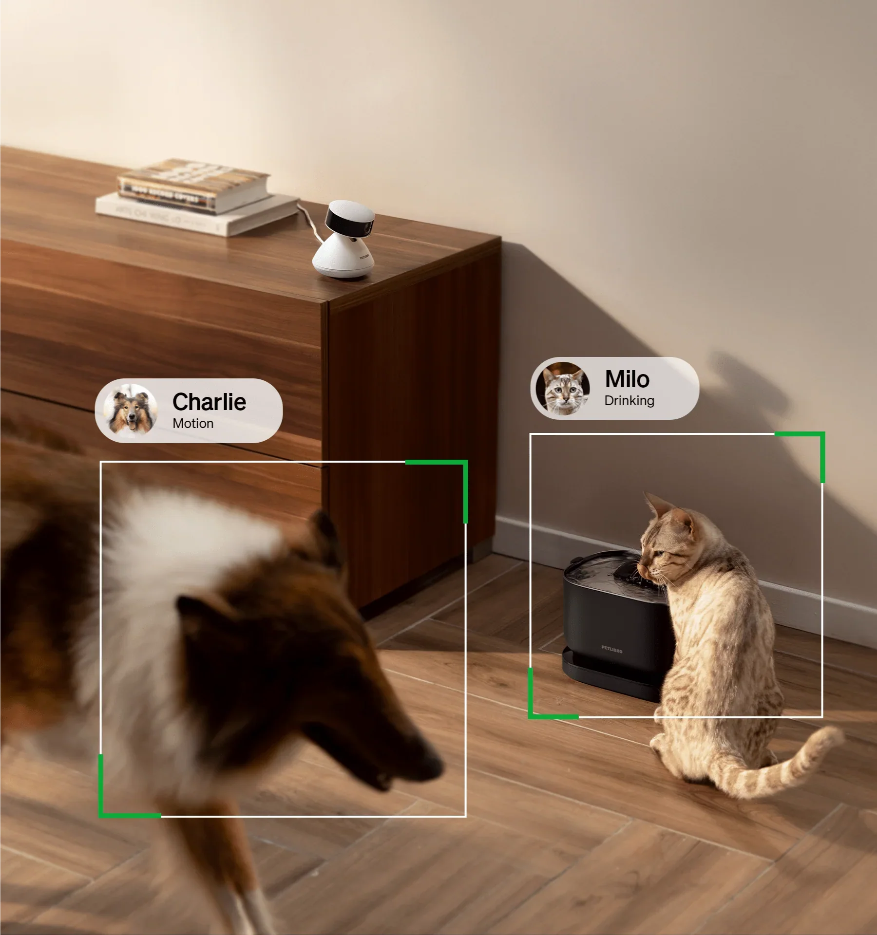 Scout Smart Camera
