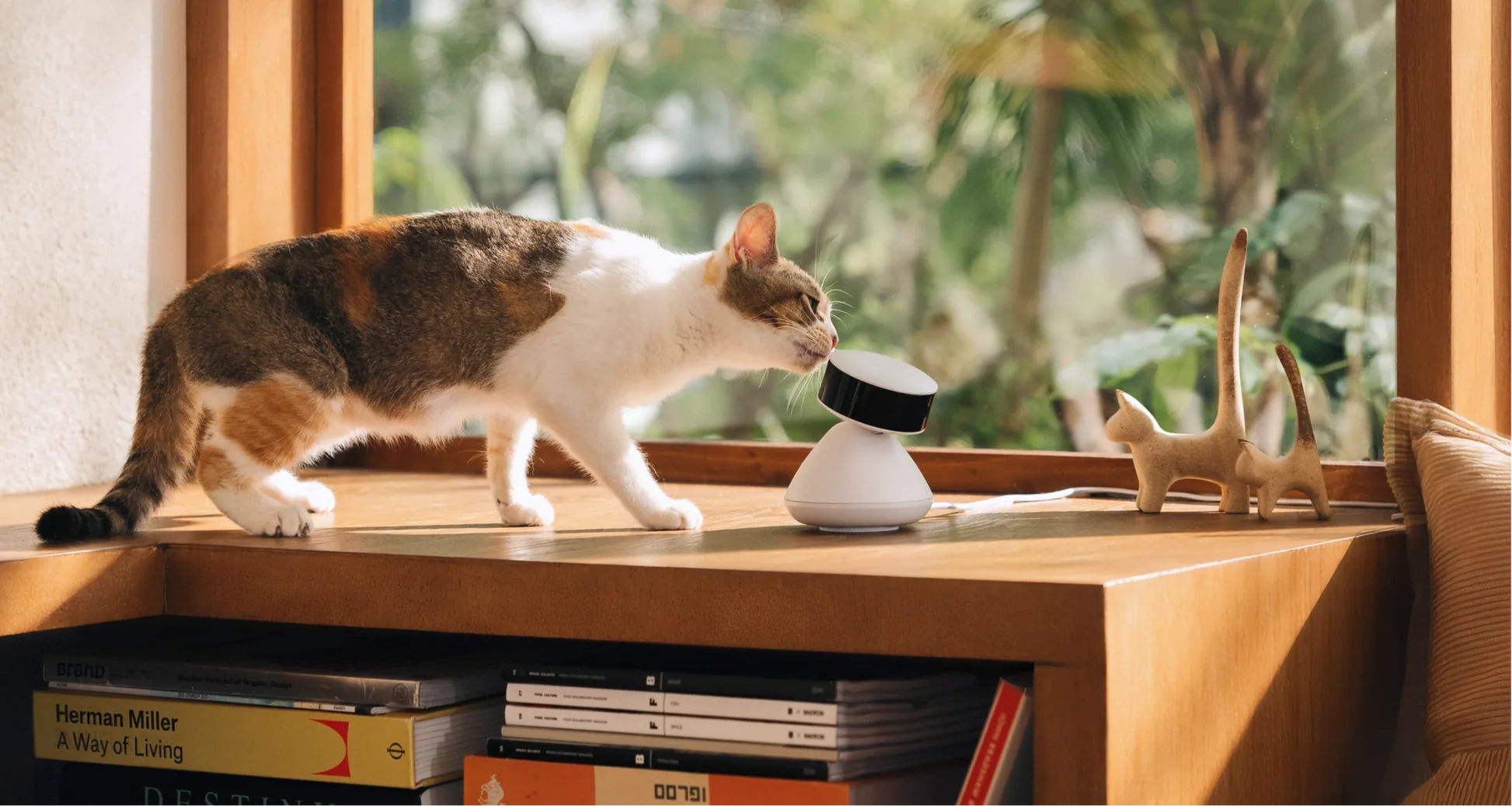 Scout Smart Camera